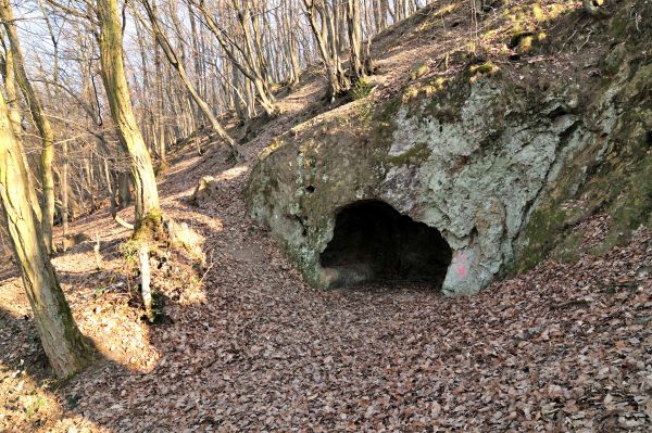 Gagernhöhle im Wald