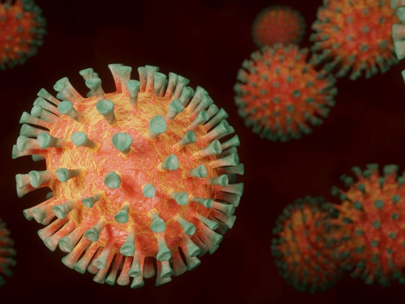 Abbildung des Corona Virus